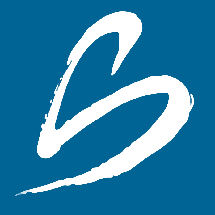Synergy Services logo